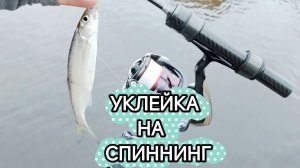 ЛОВЛЯ ЖИРНОЙ УКЛЕЙКИ НА СПИННИНГ /CF SUBZERO 0.1-0.8/