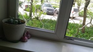 5 мая. Всем Доброе утро!