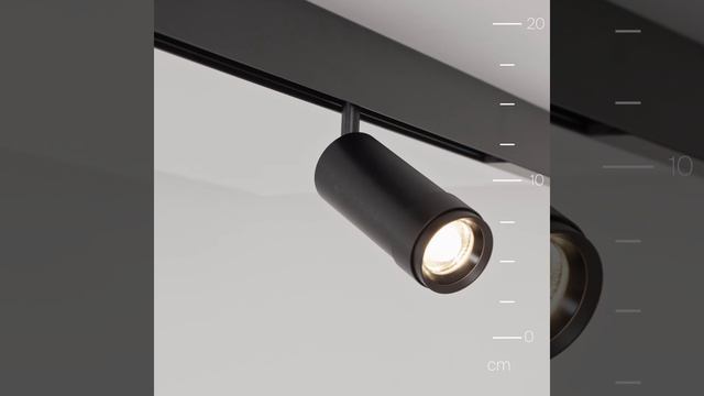 Светильник Maytoni Exility Focus Zoom TR211-1-12W4K-Z-B смотреть онлайн