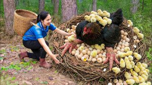 Собираем урожай куриных ножек и идём на рынок продавать | Путь от яйца до цыплёнка в лесу | Off Grid
