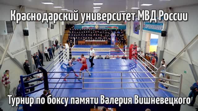 Турнир по боксу памяти Валерия Вишневецкого