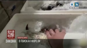 В Новороссийске изъяли 700 кг немаркированной радужной форели