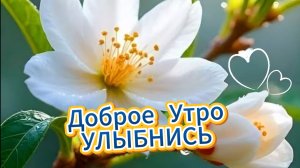 Доброе утро: красивые открытки и пожелания добра | Домохозяйка