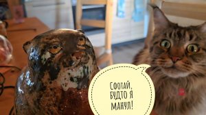 Кученька событий! Кошка Морошка получила манула, я сова Ёль бдит за суетой, генератор заработал