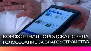 Новгородские волонтёры помогают жителям проголосовать за объекты благоустройства