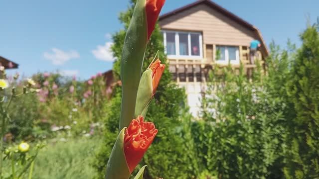 Обшивка дома в одиночку. Подробно, с самого начала. Часть 5