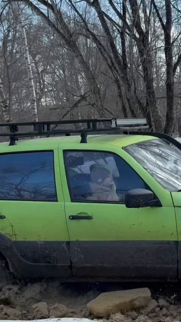 Нива