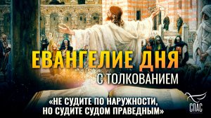 «Не судите по наружности, но судите судом праведным» / Евангелие дня