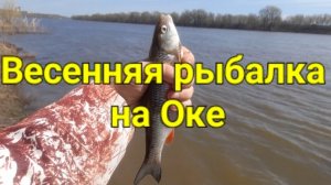 Весенняя рыбалка на Оке.