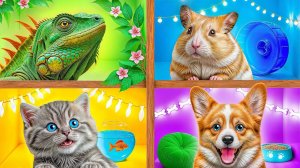 Строим Домики для Животных # Смешные Моменты от TeenDO Challenge