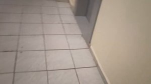 Грузопассажирские, пассажирские лифты V=1 м-с, Q=400, 630 кг (5334), музыкальные лифты ЕЛМ