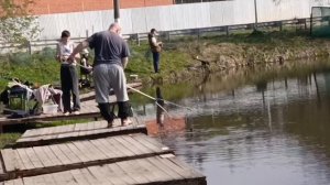 Светлые Горы Карп 05.05.2026г.