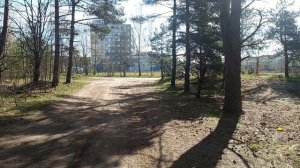 Нейро ВИА - Личность