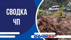 Сводка ЧП