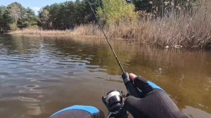 Бойкая Красноперка на спиннинг.Мормышинг
