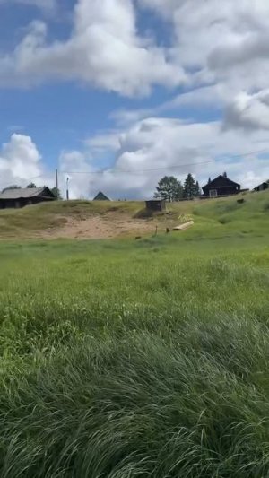 Уральская одиссея - 81-82 дни