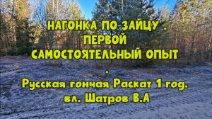 НАГОНКА ПО ЗАЙЦУ . ПЕРВОЙ САМОСТОЯТЕЛЬНЫЙ ОПЫТ .  Русская гончая Раскат 1год.   вл. Шатров В.А