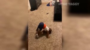 Лучшие фейлы недели Сборник самых смешных фейлов смешное видео