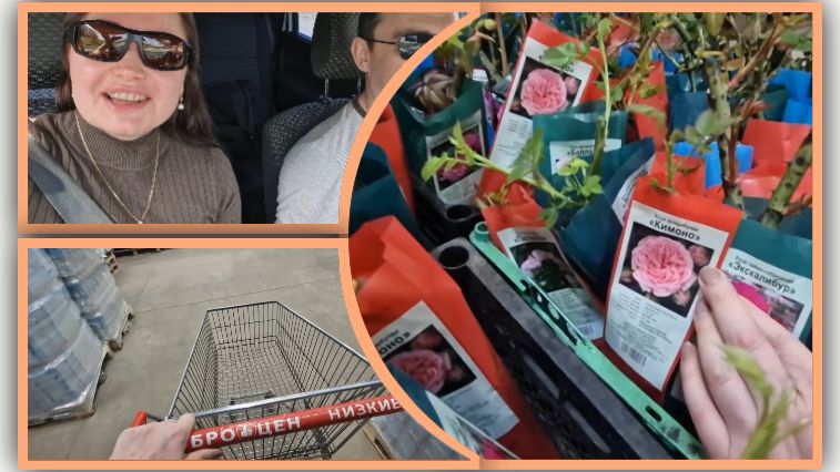 Задала документы. Пробежали по магазинам. Шикарный завоз роз.