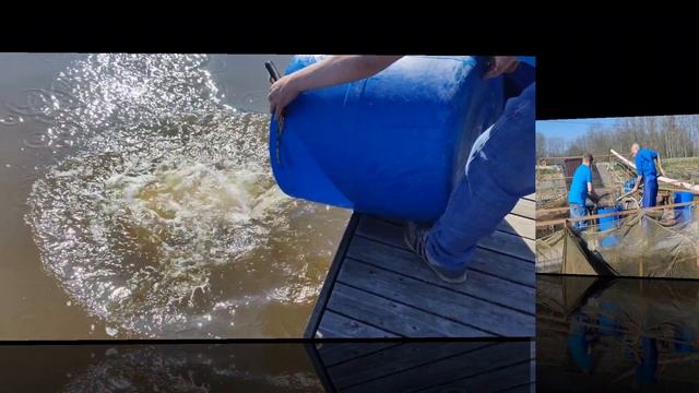 зарыбление водоёма смотреть онлайн