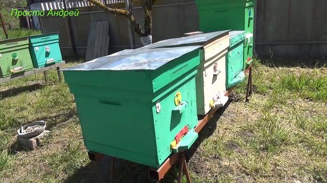 первый день солнце мое пчеловодство 28 04