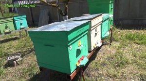 первый день солнце мое пчеловодство 28 04