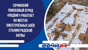 Сочинский поисковый отряд «Подвиг» работает на местах ожесточённых боёв Сталинградской битвы