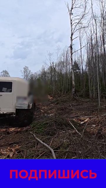 По Тайге на Белом Лисе смотреть онлайн