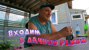 ВХОДИМ В ДАЧНЫЙ РИТМ