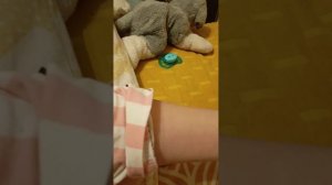 мини влог с реборном Мией