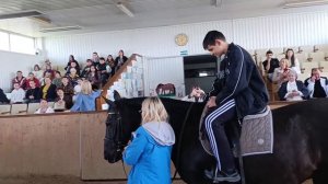 Поездка в конно- спортивный комплекс «Бештаугорский».