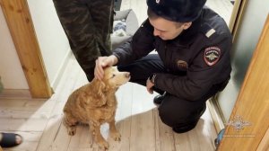 Владимир Колокольцев наградил полицейских из Подмосковья, эвакуировавших жильцов из горящего дома