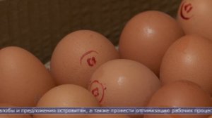 04.05.2026 На острове начались перебои поставок куриных яиц