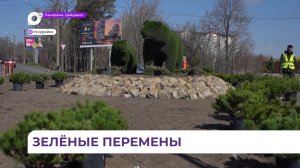На въезде в Уссурийск появится свой сосновый бор у символических мишек