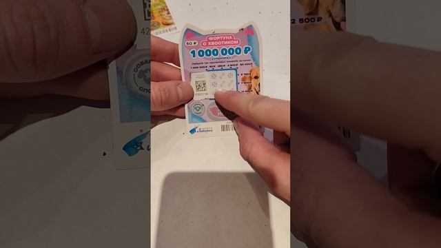 Лотерея 