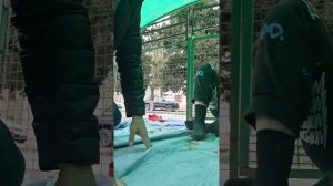 Поехала в клинику подстричь Шоколадку