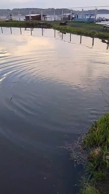 38997.mp4