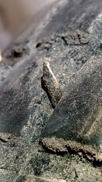 Поймал гвоздь на старой покрышке Эндуро