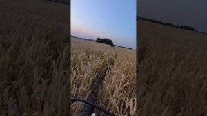 5 день. Покинули Ульяновск, прёмся в гору.