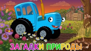 СИНИЙ ТРАКТОР | ХИТ ДЛЯ ДЕТЕЙ ДО 3 ЛЕТ ПЕСЕНКИ МАШИНКИ ОБУЧЕНИЕ КОТОРОЕ ЛЮБЯТ | ДЕТЯМ