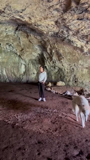🏔️ Экспедициия борзой Зевса в Адыгею💪👣 смотреть онлайн