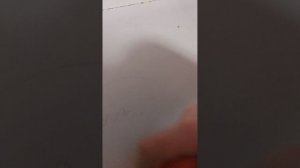 поменяла собак😽