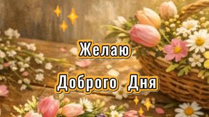 Желаю доброго дня: открытки, музыкальная открытка и пожелания | Домохозяйка