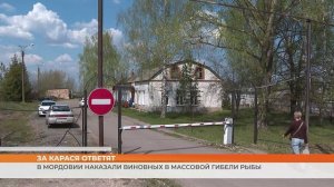 За карася ответят: в Мордовии наказали виновных в массовой гибели рыбы