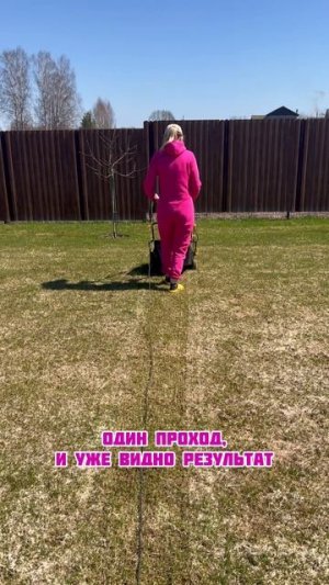 Уход за газоном весной