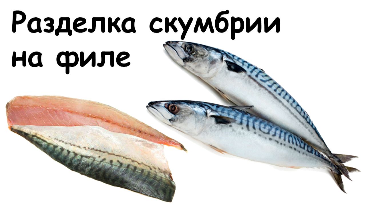 Разделка скумбрии на филе