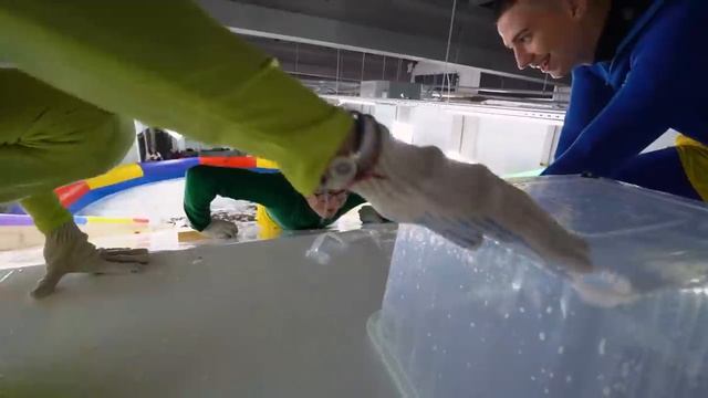 Выжить на СКОЛЬЗКОЙ ГОРКЕ Челлендж ! Влад Бумага А4 Видео Влада Влад а4 Бумага а4 А 4