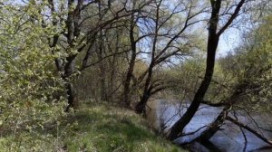 Странный парень у реки! Одиночный поход на Болву. Интервальное голодание.