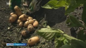 Нечестный бизнес для жителя Ставрополья обернулся уголовным делом