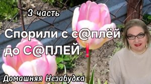 3 часть. Спорили с с@плёй до С@ПЛЕЙ❗️